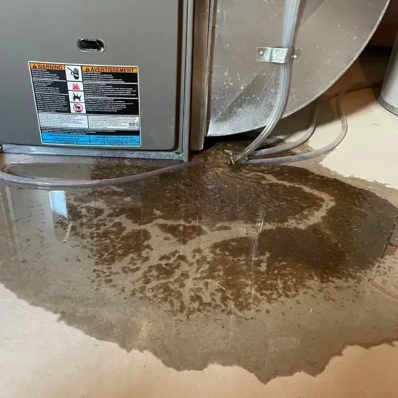 Appliance Leak Cleanup in Pulaski County, KY